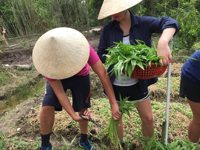 Todd Sammis, Vietnam, Farming